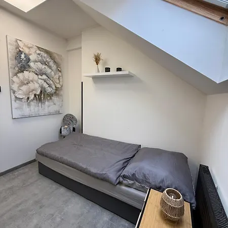 Teplice Apartments