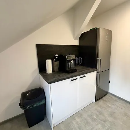 Apartamento Teplice Apartments *